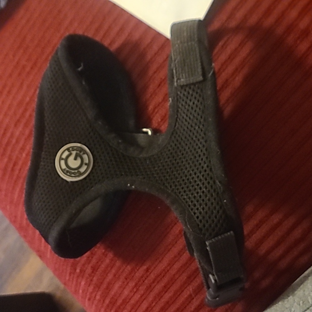 Dog harness